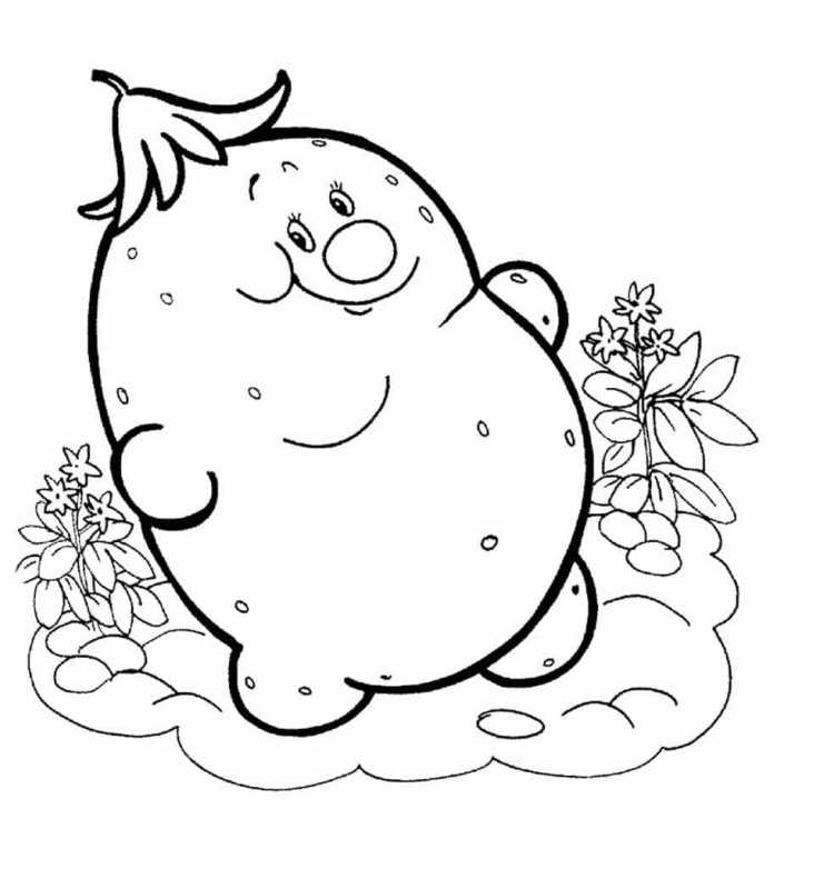 Раскраска "фрукты"