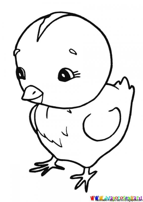 Пасхальный цыпленок раскраска для малышей