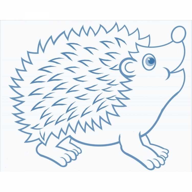 Раскраска Ёжик