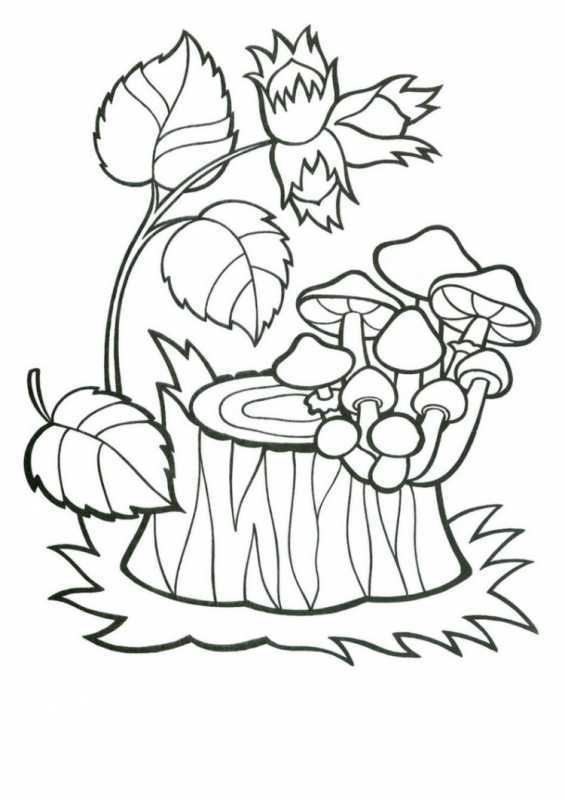 Раскраска очень для детей