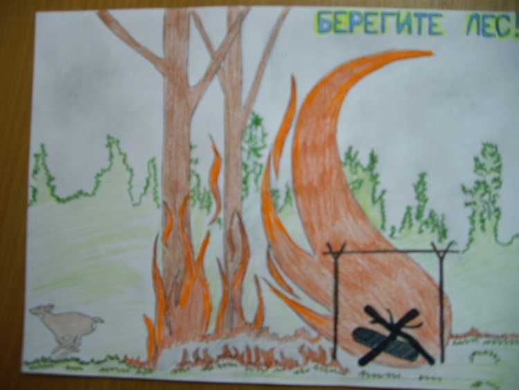 Плакат охрана леса