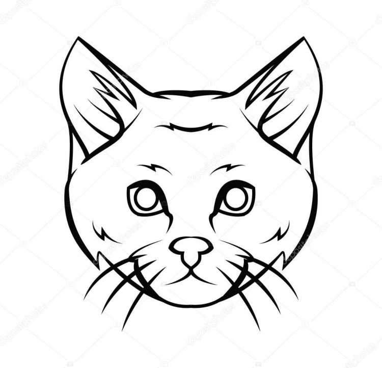 Контур лица кота