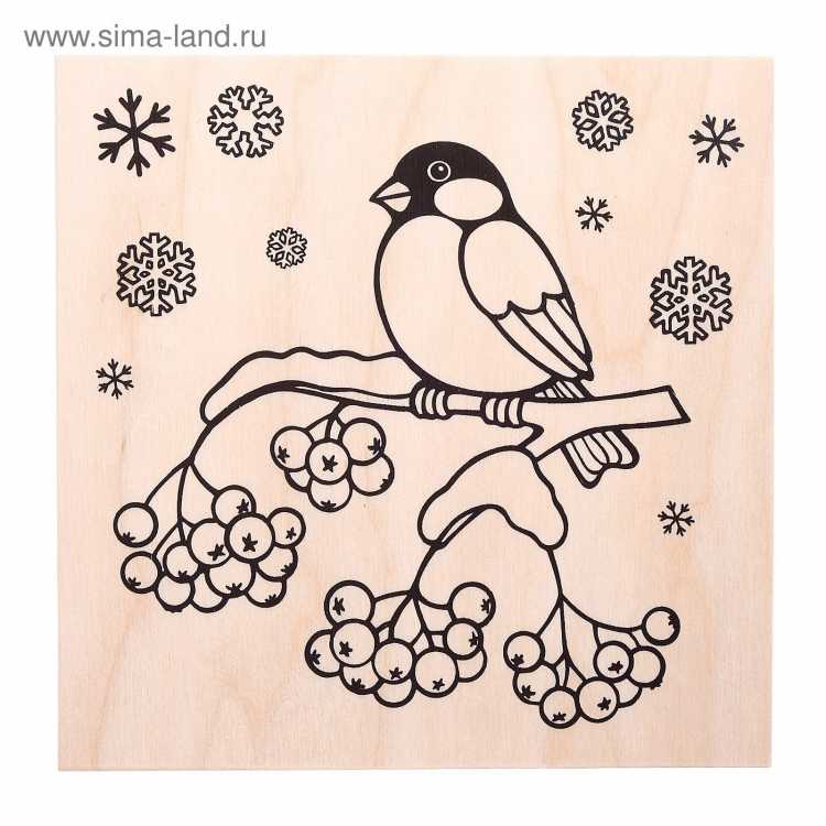 Разукрашка зимующие птицы синица