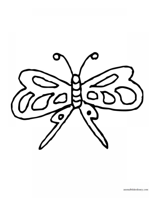 Раскраска бабочки и Стрекозы