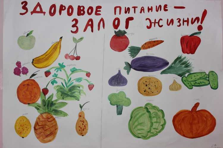 Азбука полезных продуктов рисунок