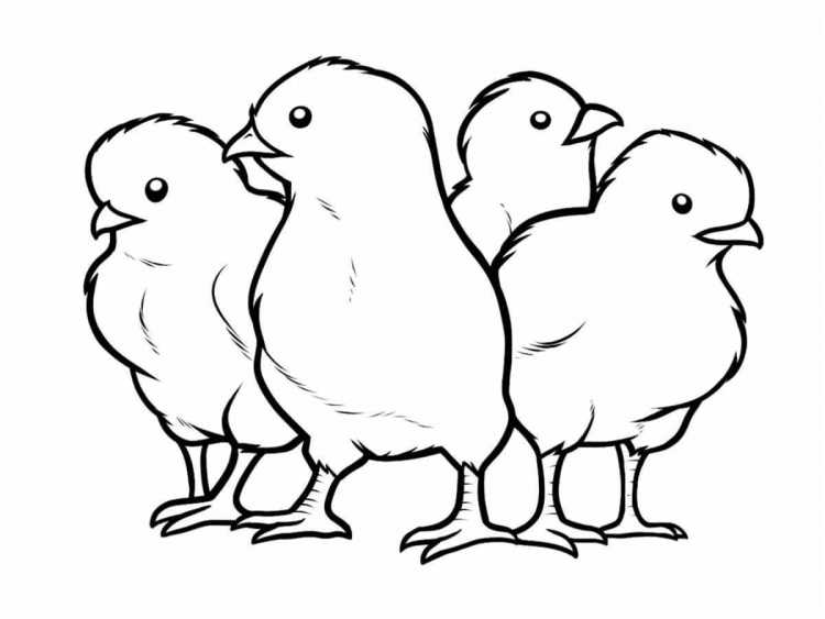 Пасхальный цыпленок раскраска