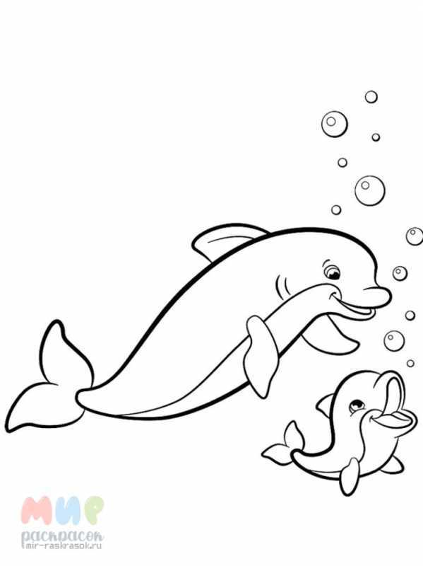 Раскраски Дельфин с мамой
