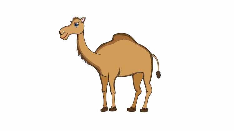 Пейзаж с верблюдом