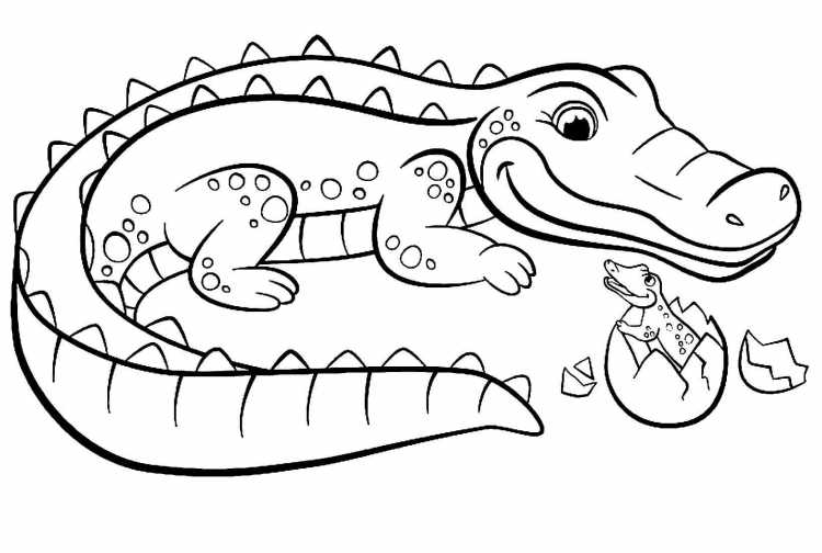 Раскраска гигантский крокодил