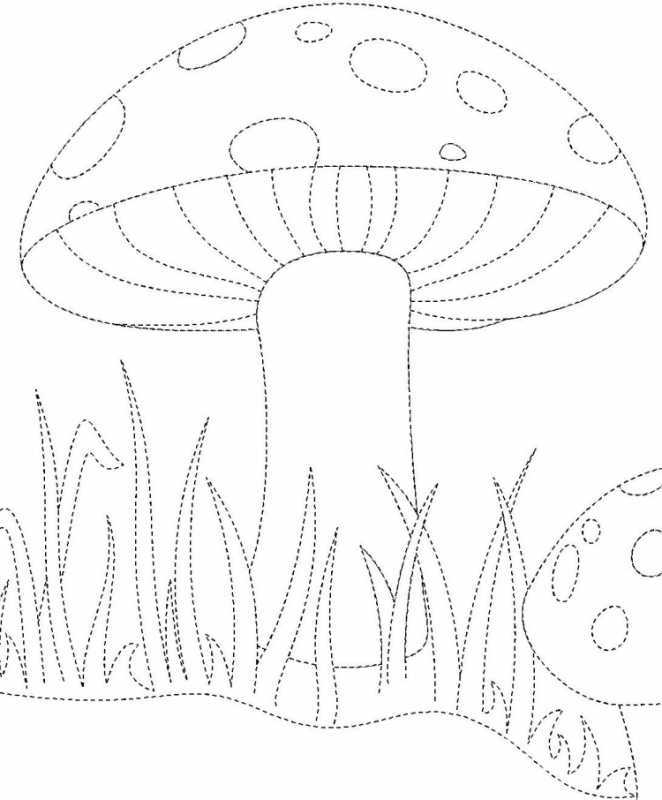 Грибы раскраска для детей