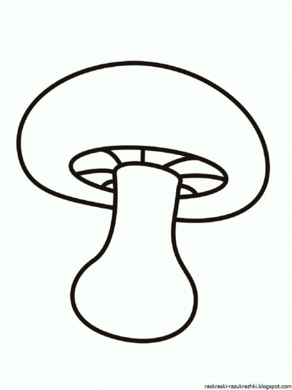 Груздь раскраска