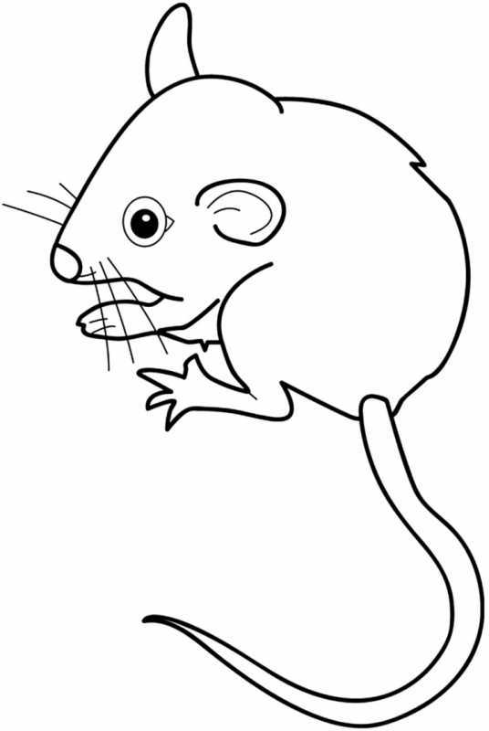 Мышка раскраска