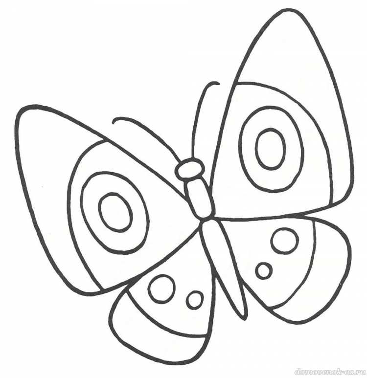 Раскраска "бабочки"