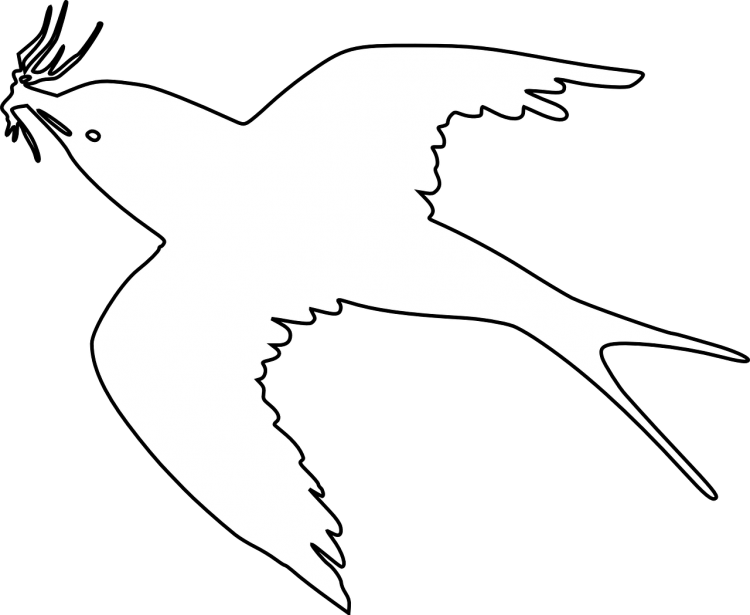 Ласточка вектор линии