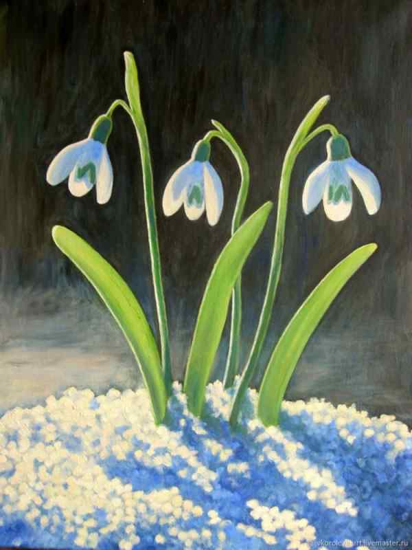 Подснежник раскраска