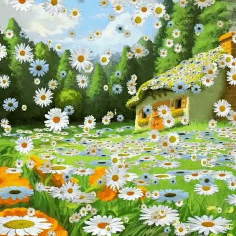 Поляна цветов