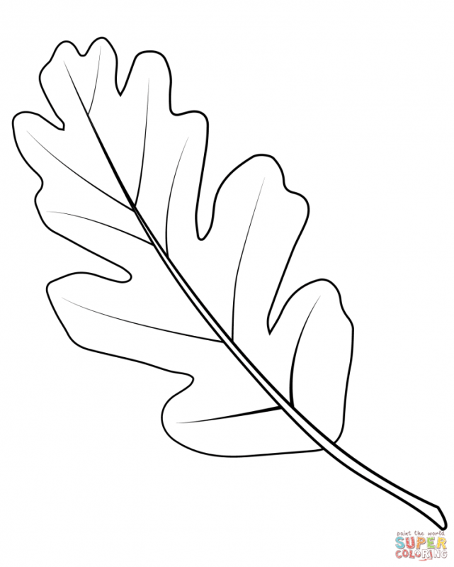 Лист березы раскраска для детей