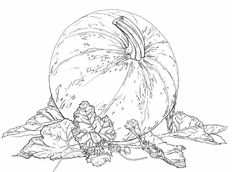 Тыква для Хэллоуина раскраска