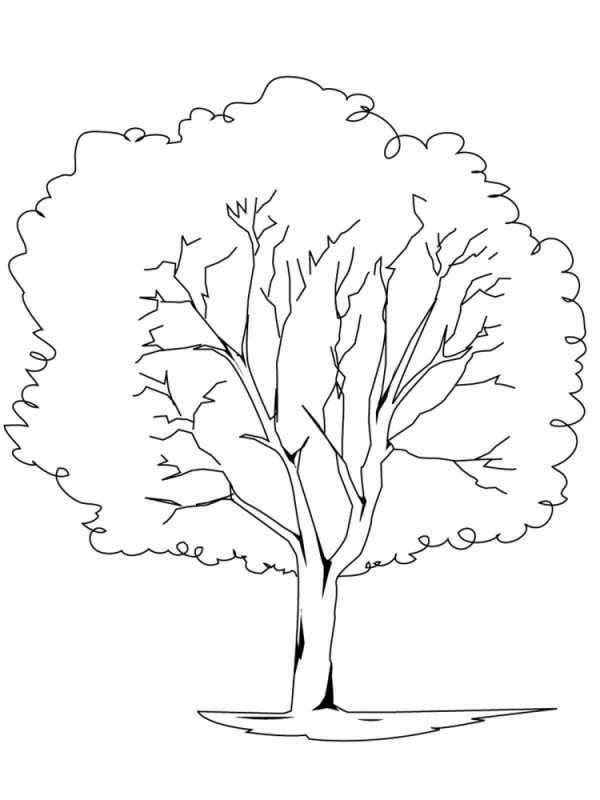 Раскраска дерево в Африке для детей