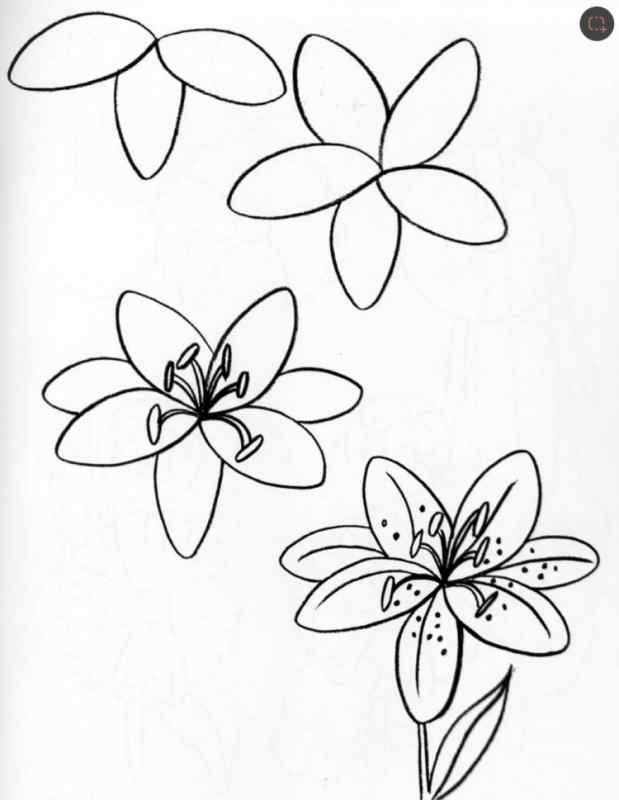 Схемы рисования цветов