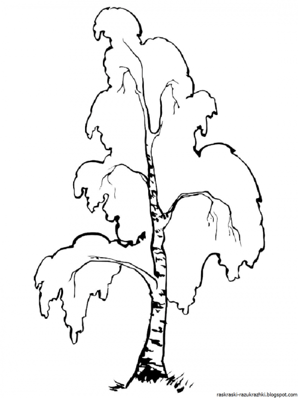 Рисование Березка