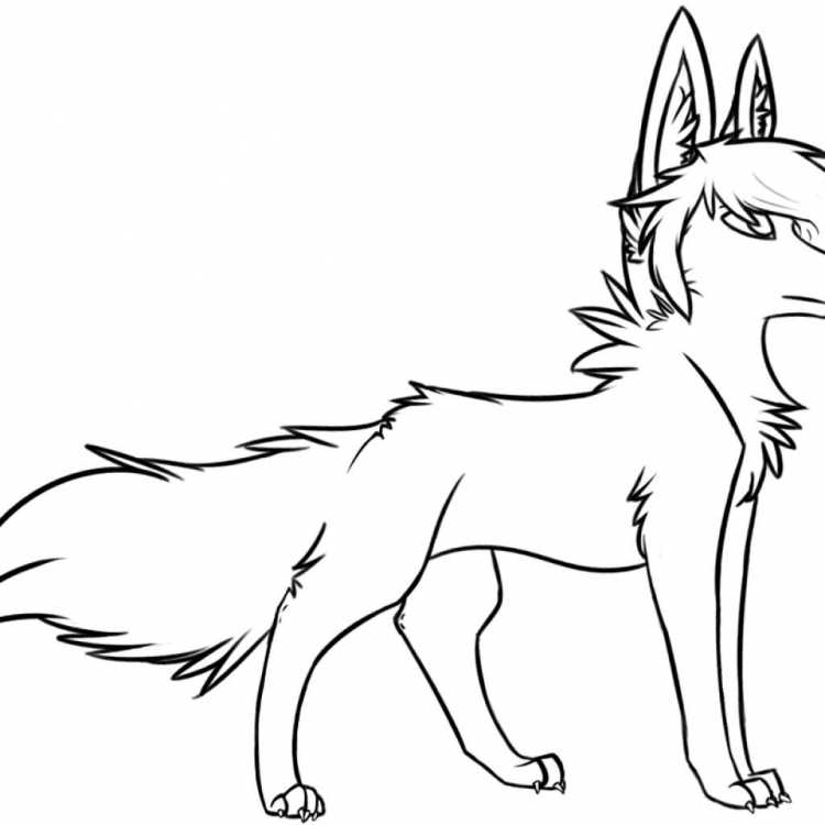 Раскраска волк