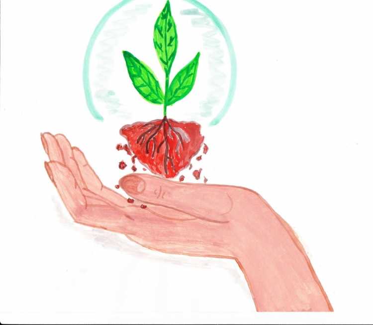 Защита природы 5 класс