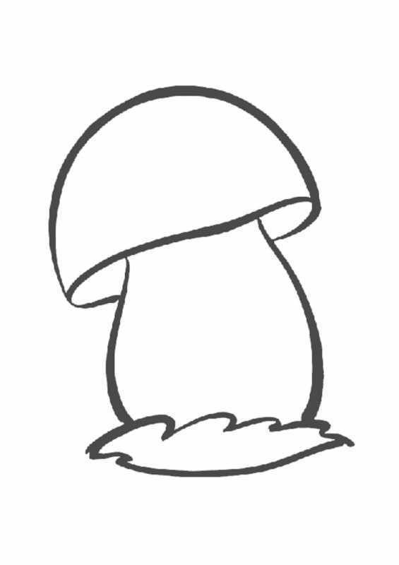 Гриб сыроежка раскрасить