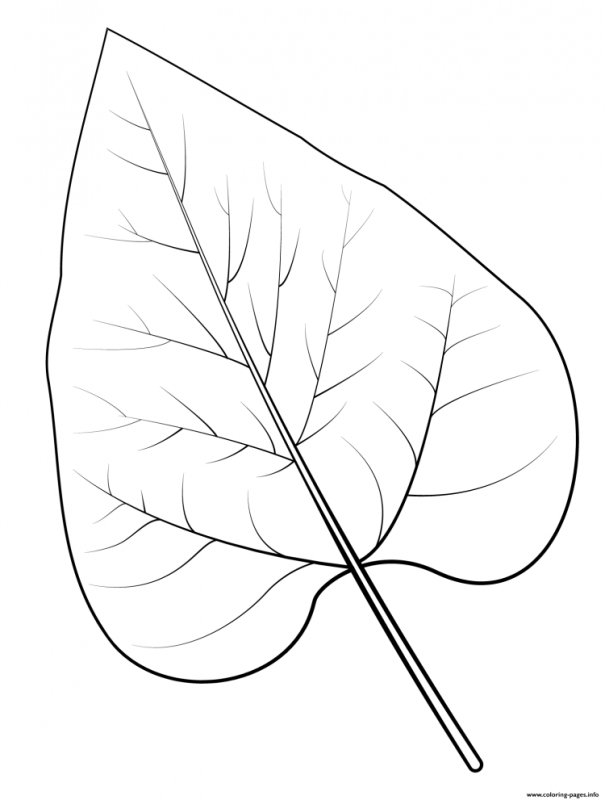 Листья раскраска для детей