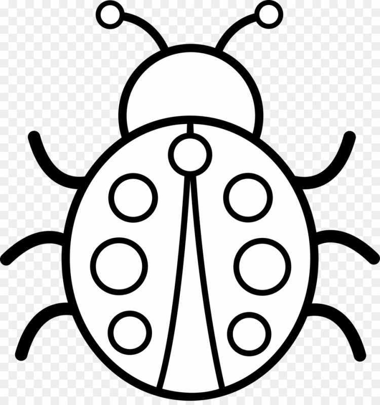 Рисование для детей Божья коровка