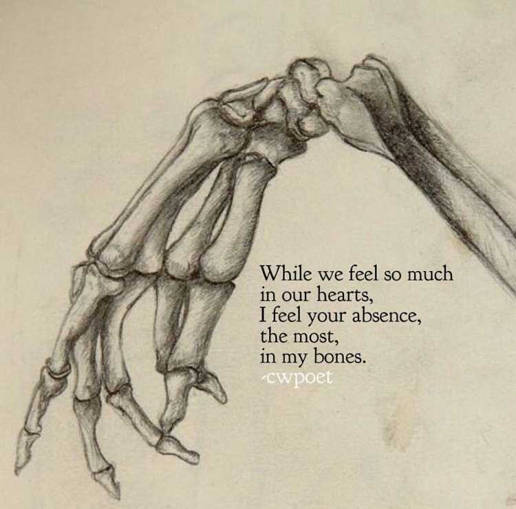 Кости кисти