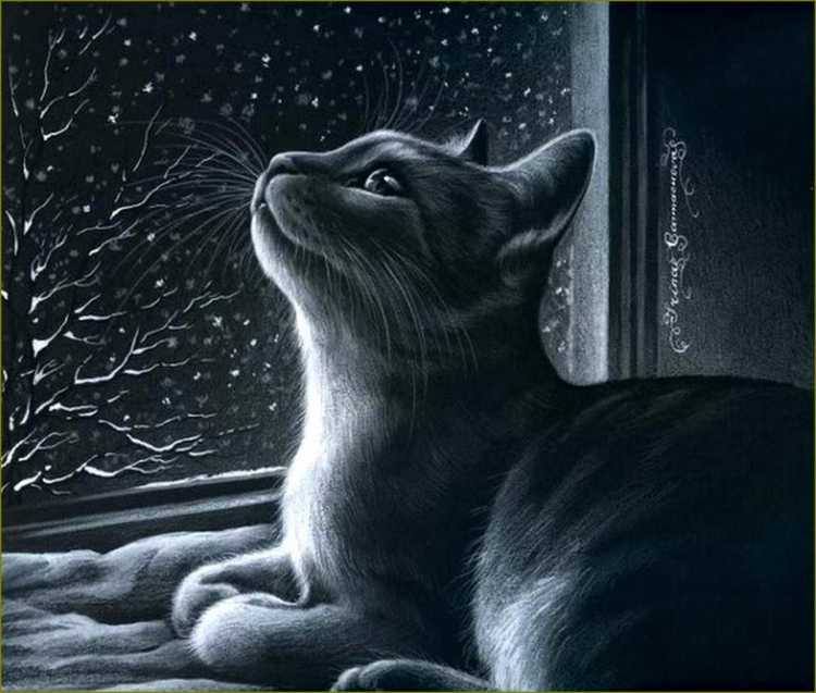 Ирина Гармашева художница чёрный кот