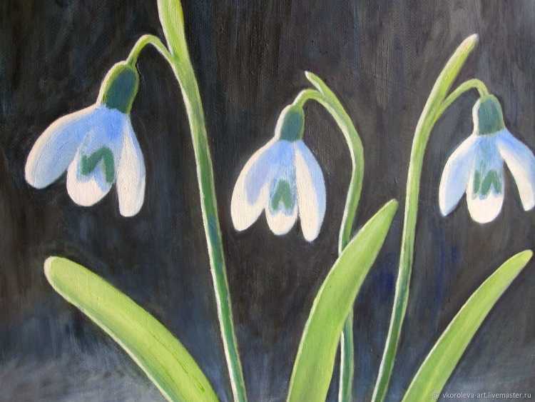 Подснежники картина