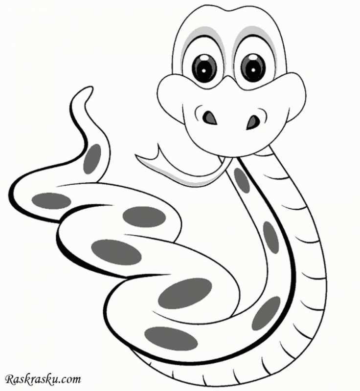 Змея раскраска для детей