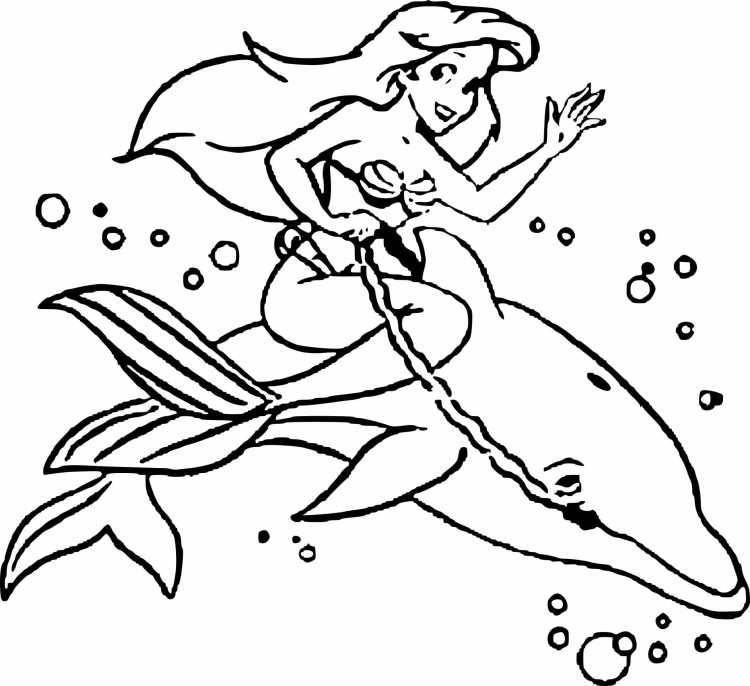 Дельфин раскраска для детей