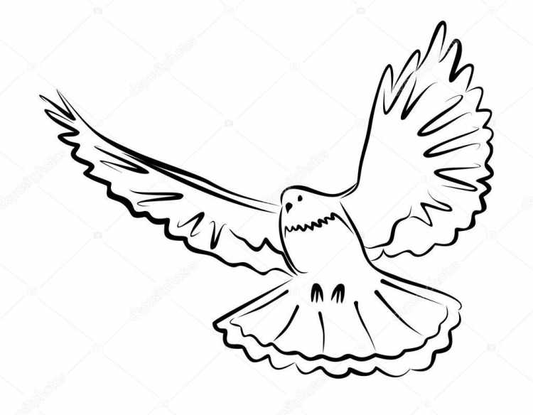 Христианские раскраски голубь