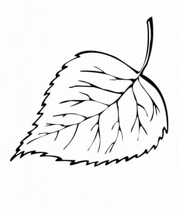 Осенние листья раскраска для детей