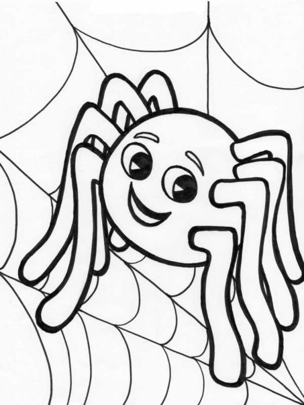 Раскраска паук на паутине