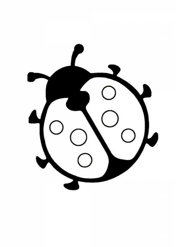 Божья коровка раскраска для детей