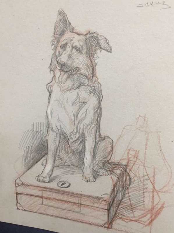 Щенок под зонтом