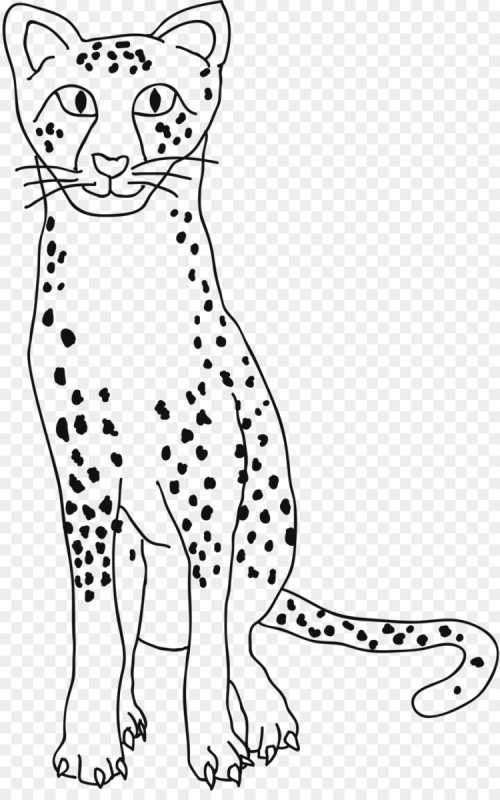 Раскраски для взрослых гепард