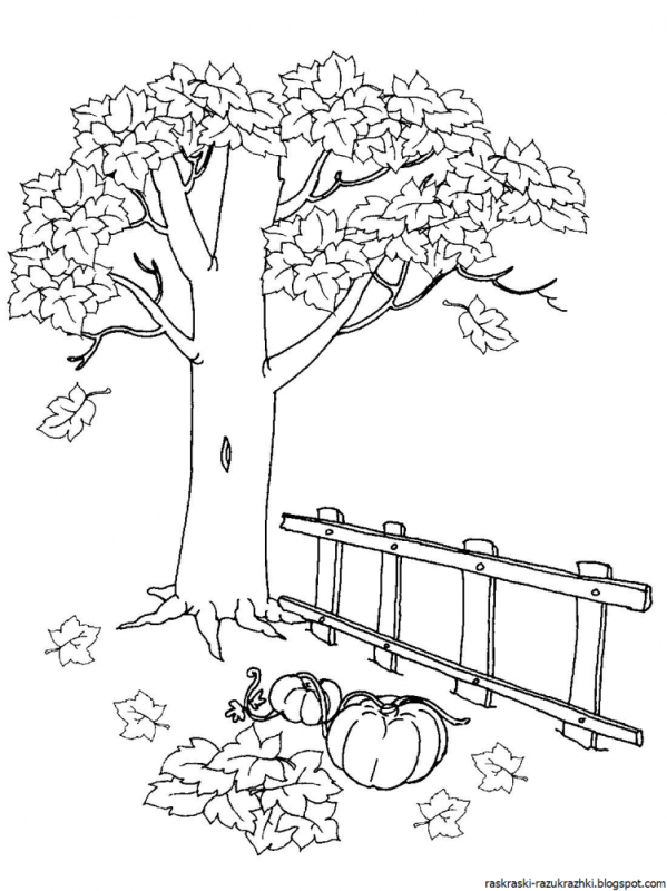 Осенние раскраски для малышей
