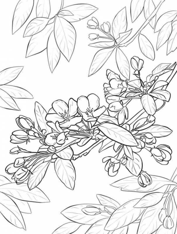 Раскраска. Весна