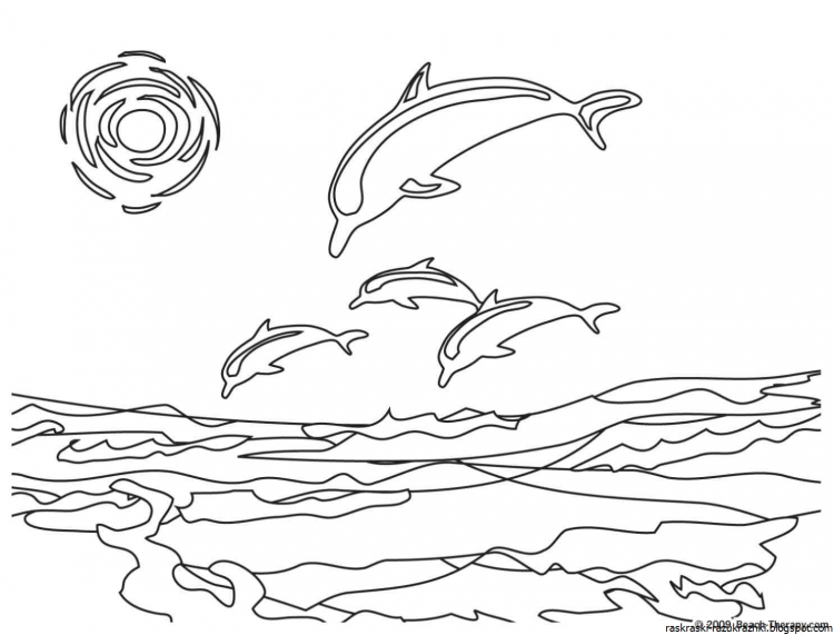 Дельфин раскраска для детей