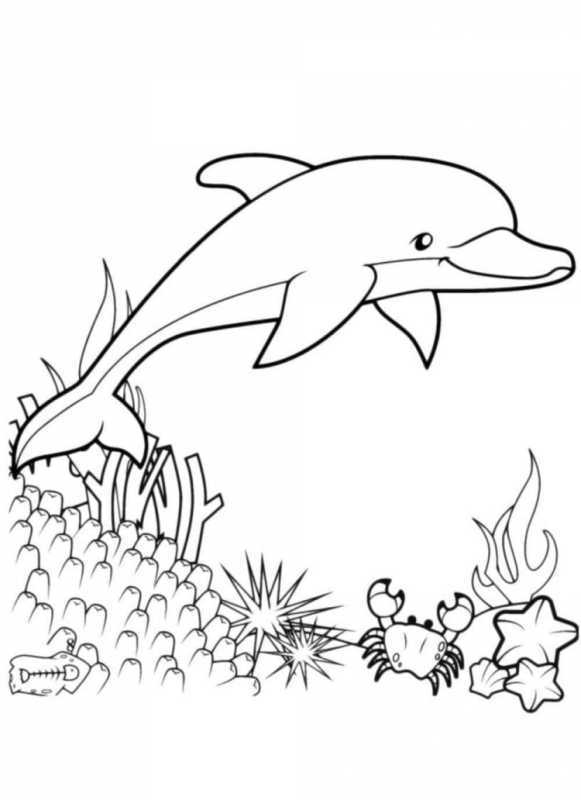 Раскраска Дельфин с мячиком