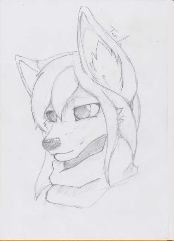 Фурри рисунки карандашом