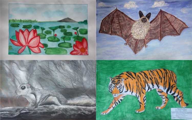 Красная книга глазами детей