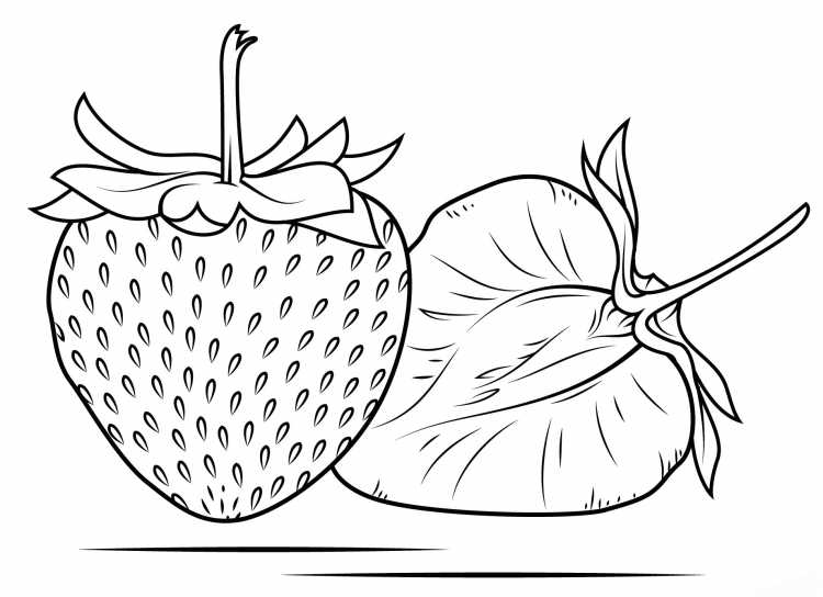 Фрукты. Раскраска для малышей