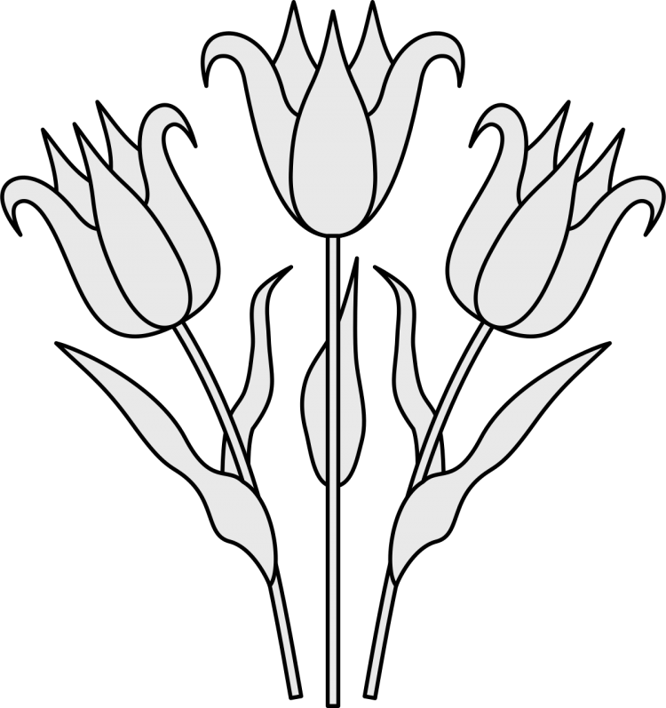 Раскраска тюльпаны крупные