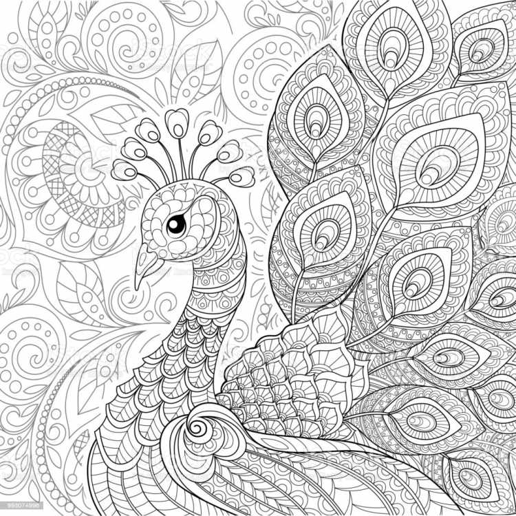 Схема павлина для аппликации